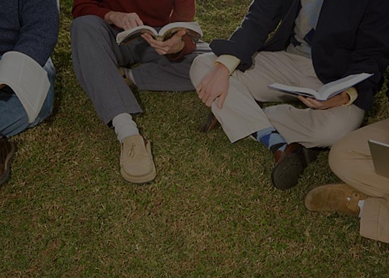 Banner Image