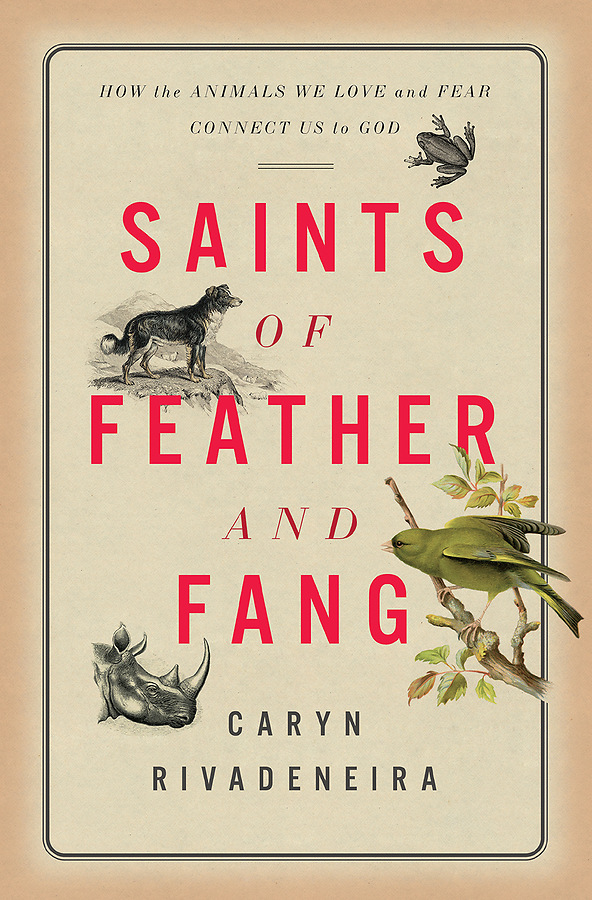 Saints of Feather and Fang - How the Animals We Lo | Cokesbury