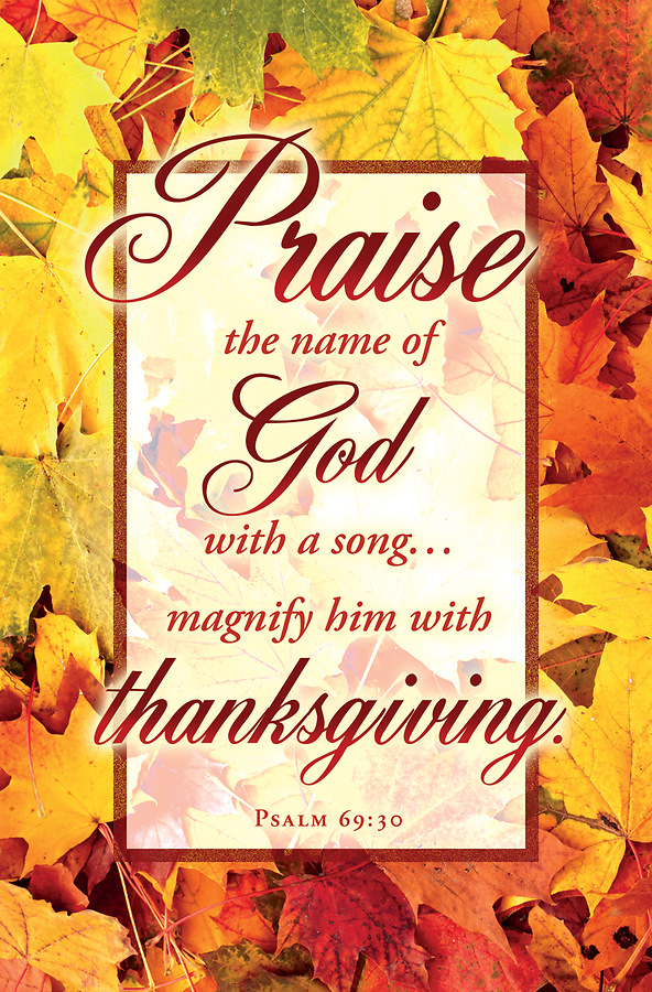 Praise the Name of God Bulletin Regular Psalm 69:3 | Cokesbury