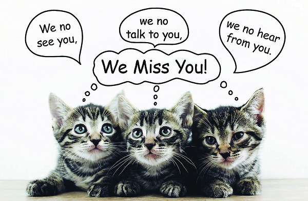 We Miss You Postcard Miss You (Package of 25) | Cokesbury