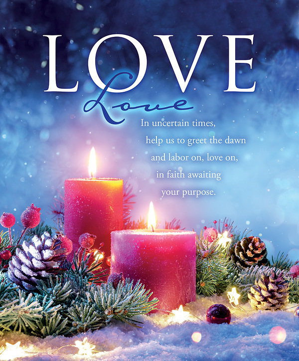 Advent Love Week 4 Bulletin Legal - Pack of 100 | Cokesbury