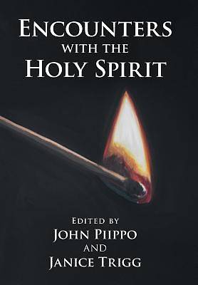 Picture of Encounters with the Holy Spirit