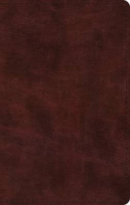 Picture of ESV Large Print Thinline Bible, Red Letter (Trutone, Mahogany)