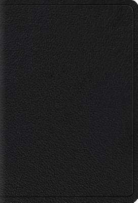 Picture of ESV Large Print Compact Bible (Black)