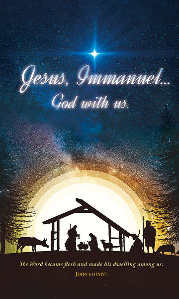 Picture of Banner Jesus Immannuel Christmas 3 x 5 Fabric