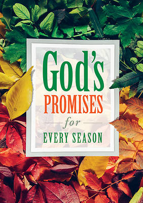 Picture of God's Promises for Every Season (Pk of 6)