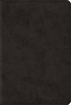 Picture of ESV Large Print Compact Bible (Trutone, Black)