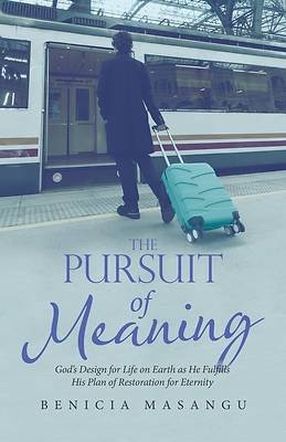 Picture of The Pursuit of Meaning