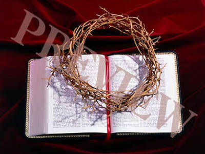 Picture of Download Still Bible, Crown of Thorns with Red Background