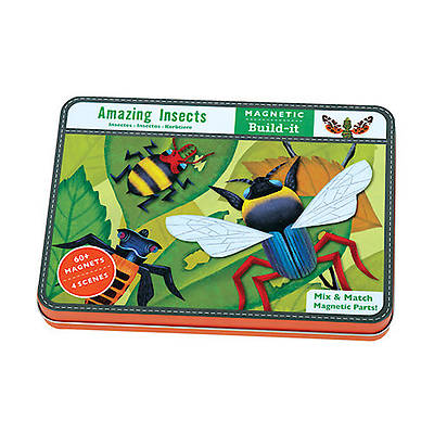 Picture of Amazing Insects Magnetic Build-It
