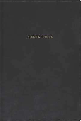 Rvr 1960 Biblia Letra Grande, Tamaño Manual, Gris, Símil Piel Con Índice