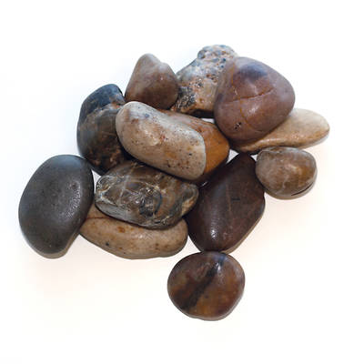 Picture of Vacation Bible School (VBS) 2019 Whooosh River Rocks (Pkg of 24)