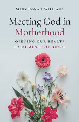 Picture of Meeting God in Motherhood
