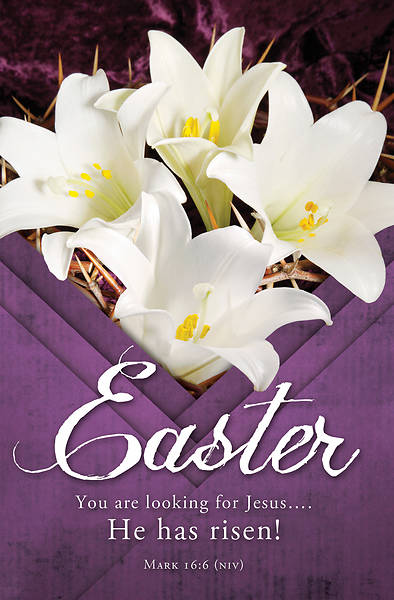 Picture of He Has Risen Easter Regular Size Bulletin