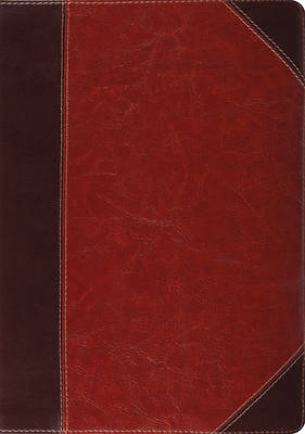 Picture of ESV Study Bible