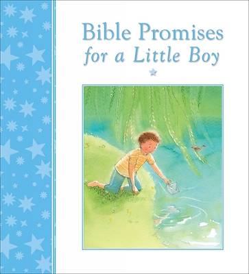 Picture of Bible Promises for a Little Boy