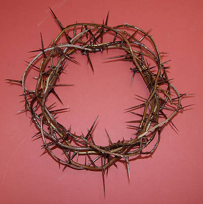 Picture of Crown of Thorns 12 Inch