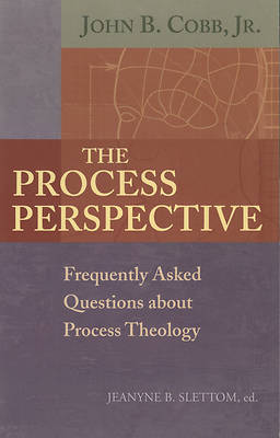 Picture of The Process Perspective
