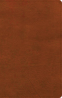 Picture of NASB Single-Column Personal Size Bible, Burnt Sienna Leathertouch
