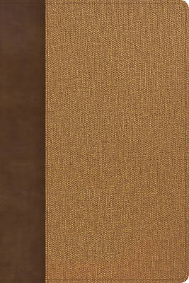 Picture of KJV Rainbow Study Bible, Brown/Tan Leathertouch, Indexed