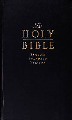 Picture of English Standard Version Value Pew Bible