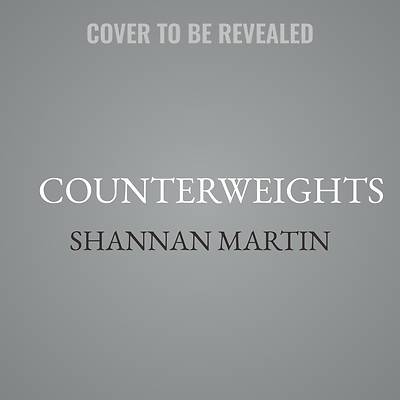 Picture of Counterweights