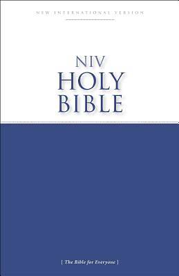 Picture of NIV Economy Outreach Bible - Case of 28