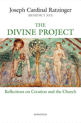 Picture of The Divine Project