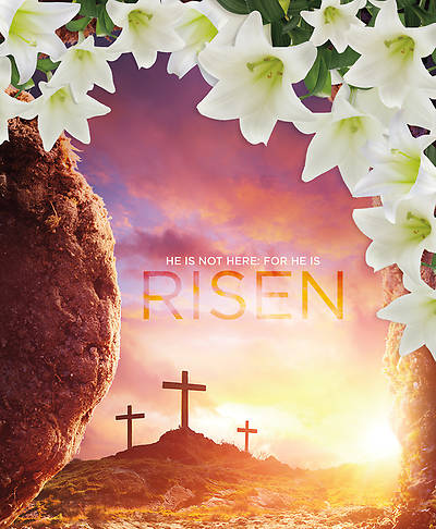 Picture of He is Not Here For He is Risen Easter Legal Size Bulletin