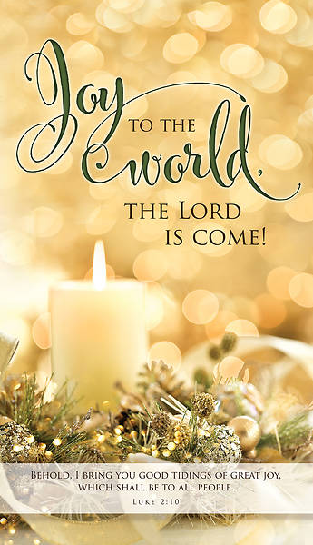 Picture of Joy to the World Banner 3 x 5 Fabric