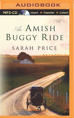 Picture of An Amish Buggy Ride