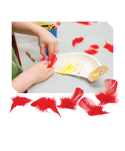 Picture of Vacation Bible School Red Craft Feathers (pkg .14 oz, approx. 30 feathers)