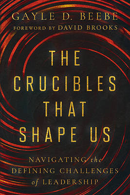 Picture of The Crucibles That Shape Us