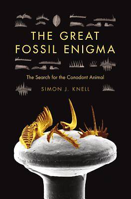 Picture of The Great Fossil Enigma [Adobe Ebook]