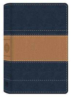 Picture of The KJV Study Bible--Illustrated Edition (Blue)