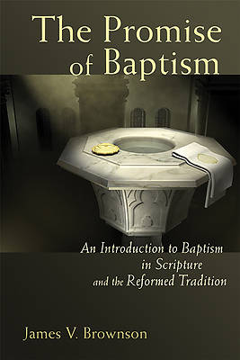 Picture of The Promise of Baptism