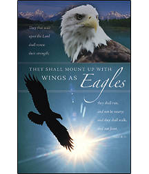 Picture of They Shall Mount Up With Wings As Eagles Bulletin (Package of 100)