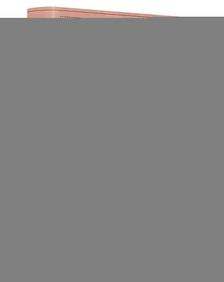 Picture of ESV Value Large Print Compact Bible (Trutone, Blush Rose, Fleur-De-Lis Design)