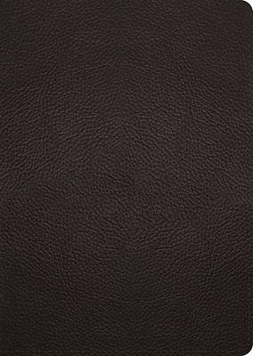 Picture of ESV Study Bible, Large Print (Buffalo Leather, Deep Brown)
