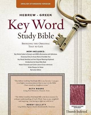 Picture of The Hebrew-Greek Key Word Study Bible