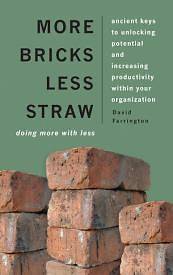 Picture of More Bricks Less Straw
