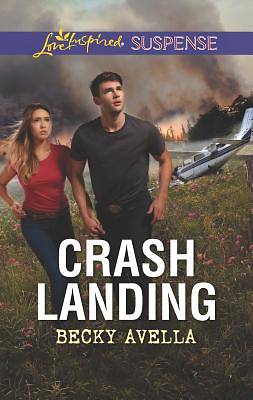 Picture of Crash Landing