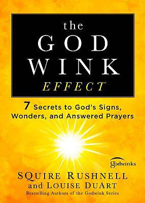Picture of The Godwink Effect