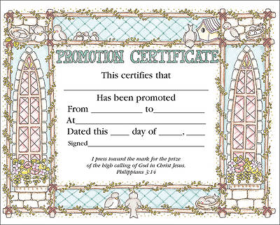 Picture of Promotion Certificate - Pack of 36