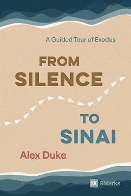 Picture of From Silence to Sinai