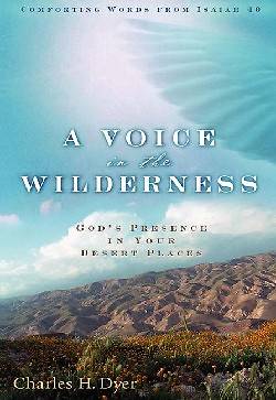 Picture of A Voice in the Wilderness [ePub Ebook]