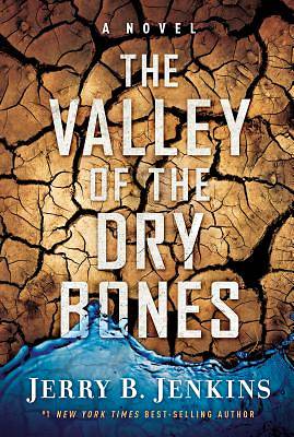 Picture of The Valley of Dry Bones