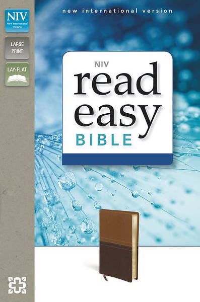 Picture of NIV Readeasy Bible