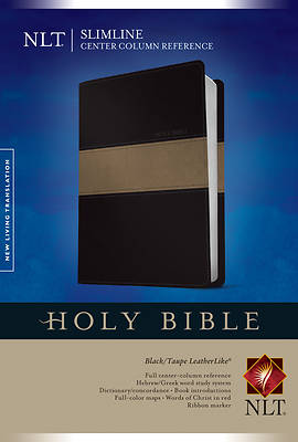 Picture of Slimline Center Column Reference Bible NLT