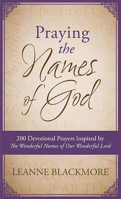 Picture of Praying the Names of God